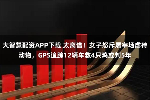 大智慧配资APP下载 太离谱！女子怒斥屠宰场虐待动物，GPS追踪12辆车救4只鸡或判5年