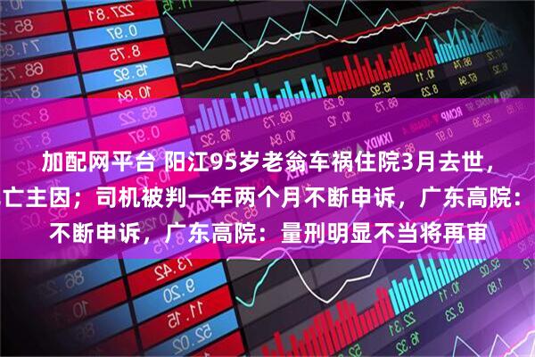 加配网平台 阳江95岁老翁车祸住院3月去世，鉴定称自身因素系死亡主因；司机被判一年两个月不断申诉，广东高院：量刑明显不当将再审