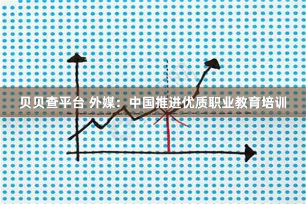 贝贝查平台 外媒：中国推进优质职业教育培训