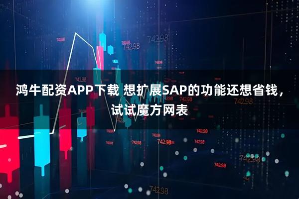 鸿牛配资APP下载 想扩展SAP的功能还想省钱，试试魔方网表